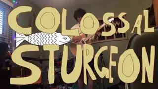 Chris Peterson and the Coming Suns - Colossal Sturgeon (Music Video) (FISH!!!)