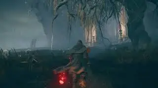Elden Ring Concealing Veil and Assassin's Gambit