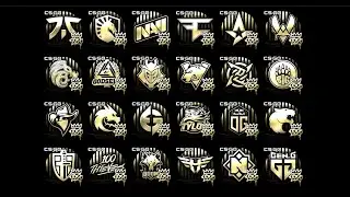 CSGO RMR 2020 Stickers || Normal/Holo/Foil/Gold