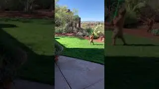golf in St George