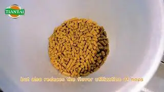 Does the intensity of wort boiling affect the final flavor of beer Tiantai Brewtech