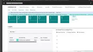 Business Central Jobs module