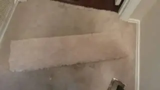 Squeaky clean cut loop berber entryway carpet repair in Austin Texas.