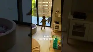 Bear Cubs Show up at Family's Porch Door
