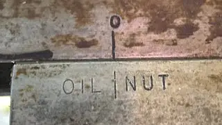 What’s an Oil Nut?