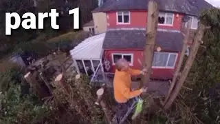 Garden/yard tidy up TOO BIG I NEARLY WALK