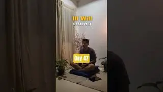 Day 47/100 &ndash; Vipassana Challenge | Ill Will #buddhateachings