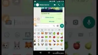 Como usar  Chat de WhatsApp B&aacute;sico #Chat #WhatsApp #B&aacute;sico  Principiantes 2018