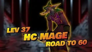 🔥Hardcore Stream🔥LVL 37  Frost Troll Mage🔥