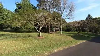 The macadamia farm market review, 2025