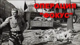 РАССЕКРЕЧЕННЫЕ ДОКУМЕНТЫ КГБ! ОПЕРАЦИЯ &ldquo;ФОКУС&ldquo;. Документальные фильмы HD