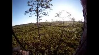 Three Lakes Muzzleloader Hunt