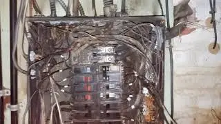 Tree Wrapped Around Service Entry Cable/Electrical Fire