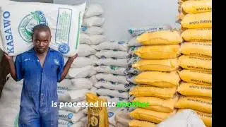 Maize flour grinding and packaging business in Africa.