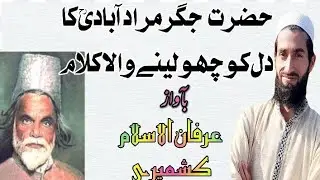 ایک رند ہے اور مدحت سلطان مدینہ Irfanulislamofficial