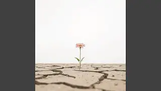 Whispered Words in the Dirt