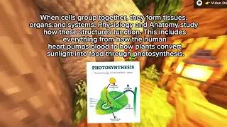 What Are Molecules & Cells  #biology 