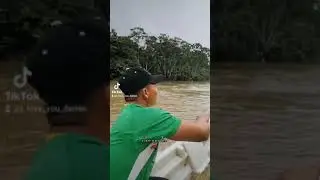 de  dari&eacute;n para el mundo  🌎 peque&ntilde;a traves&iacute;a por el r&iacute;o chucunaque