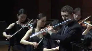 J. Sibelius: Violin Concerto in D minor, op. 47. II. Adagio di molto (arr. by D. Bouriakov)
