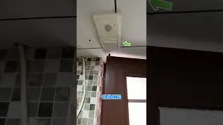 #cbum