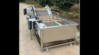 Best Fruit and Vegetable Washing Machine---Carrot Washer