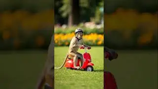 Funny monkey #youtube #ai #funnymonkey #trendingshorts #viralshorts