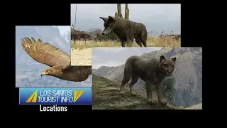 Mountain Lion, Coyote and Chicken Hawk | GTA Online Wildlife Photography Challenge