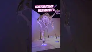 Houston science museum with my kiddos 10/10 recommend #fypシ #lifestyle #science #familyoutings #love