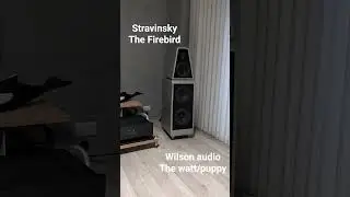 Wilson audio the watt/puppy, Stravinsky The Firebird