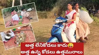 మిరపకాయల harvest తృప్తి నిచ్చింది / special ఘరం ఘరం చాయ్ 😋 at farm /అత్తయ్యకి లేని భయం నాకెందుకు😜?