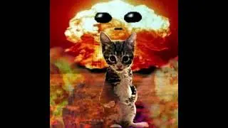 Cat explodes - type beat [FREE TO USE]
