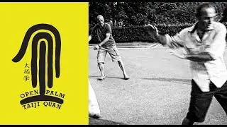 37 Step Tai Chi Form:  Opening moves