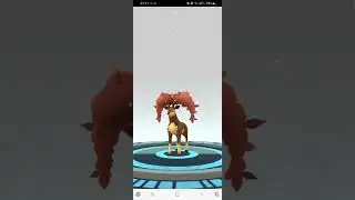 Sesokitz orange evolves to Kronjuwild