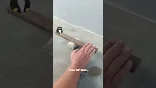 Sorry Mobo 🐧🐧