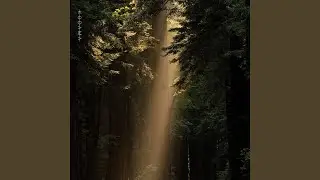 The Waterfall