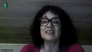 From Athlone to Sweden a journey of growth with Wendy Carlsson-Ep45