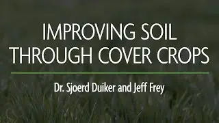 Improving Soil Through Cover Crops