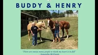 Buddy & Henry Home At Last!!!   