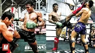 Buakaw Banchamek | Xtreme Muay Thai Training [2016]