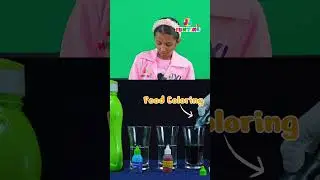 🌸 RAINBOW FLOWERS Experiment! | How Plants Drink Water