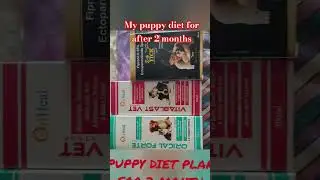 #diet#dietplan#germanshepherd#mix#pitbull#dog#trading#tranding#dogshorts#mixbreed#ritikdogcanel