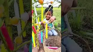 Survival Skills: SMART ideas and USEFUL In Forest With Single Mom #outdoors​ #survival​ #camping​👌🤣