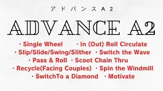 スクエアダンス　日進スターロード　アドバンスA2  １