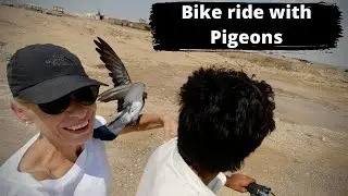 Balochistan, Gadani beach: motorcycle ride with locals and a Pidgeon!