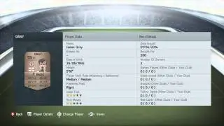 FIFA 14 - BEST BRONZE TEAM! (UT BEASTS!)