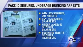 Record number of fake IDs seized