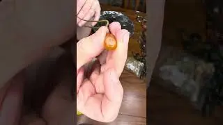 Unboxing the mystery box from Goodwill. A necklace with SPRINGS?!