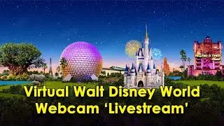 Disney World Live Stream Virtual Cam - Magic Kingdom, EPCOT, Animal Kingdom, & Hollywood Studios USA