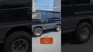 Mitsubishi Delica, cool or not?