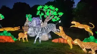 Oakland Zoo Glowfari 2021 (short)